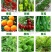 枯草芽孢杆菌2斤生根壮苗抗重茬防病害微生物菌剂肥料
