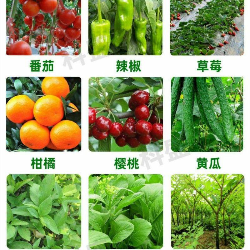 枯草芽孢杆菌2斤生根壮苗抗重茬防病害微生物菌剂肥料