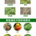 矿源黄腐酸钾改善土壤抗重茬生根壮提质增产全水溶