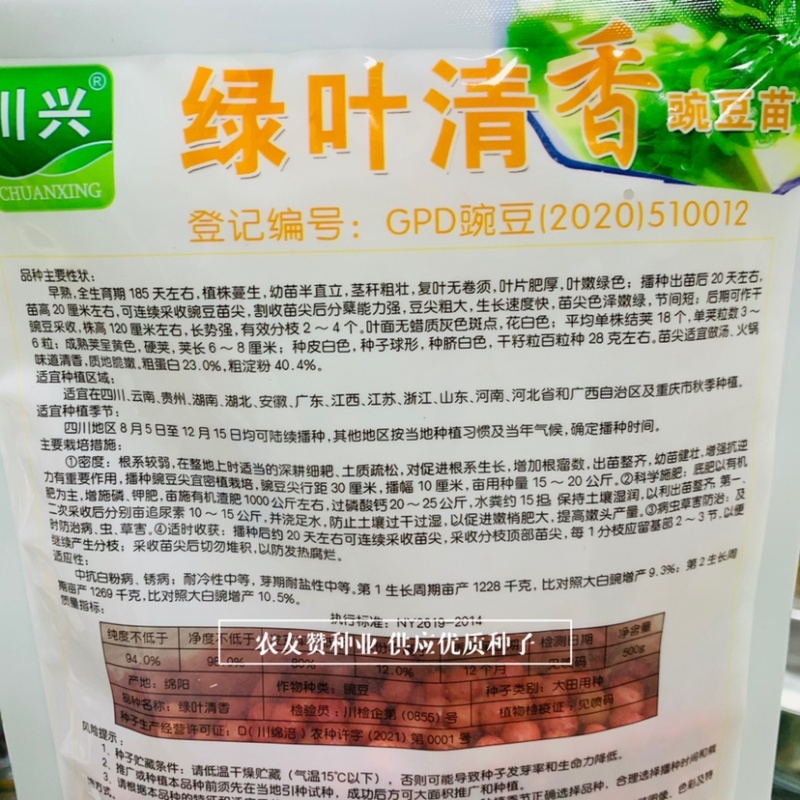 绿叶清香吃豆尖豌豆苗种子南方热销豌豆尖种子清香无须豌豆苗