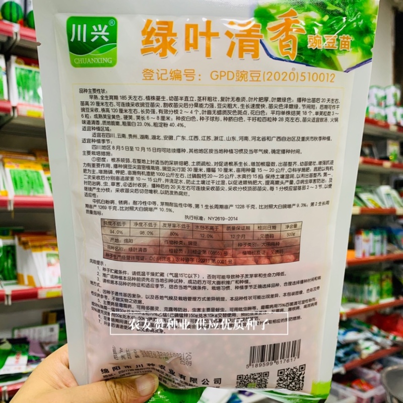 绿叶清香吃豆尖豌豆苗种子南方热销豌豆尖种子清香无须豌豆苗
