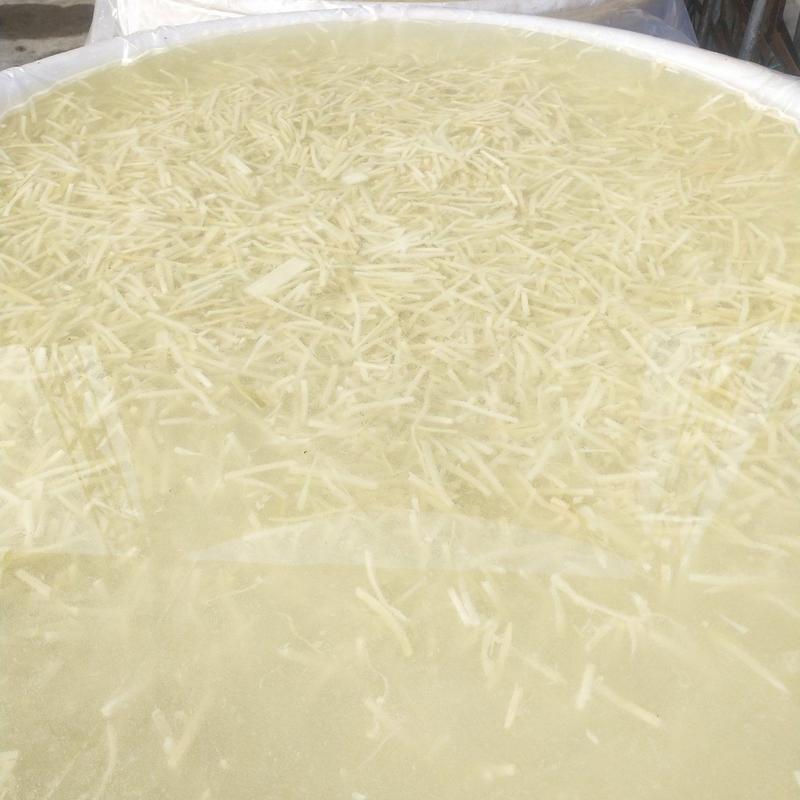 农家酸笋丝又白又酸臭香！自然发酵而成！大量提供螺蛳粉酸笋