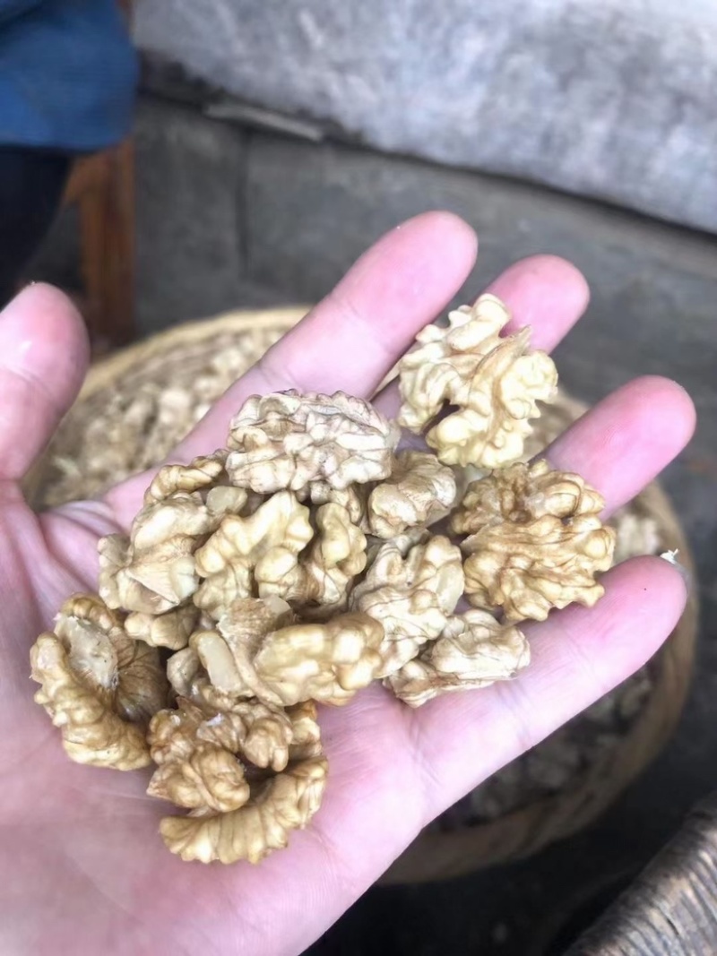 陇南核桃
