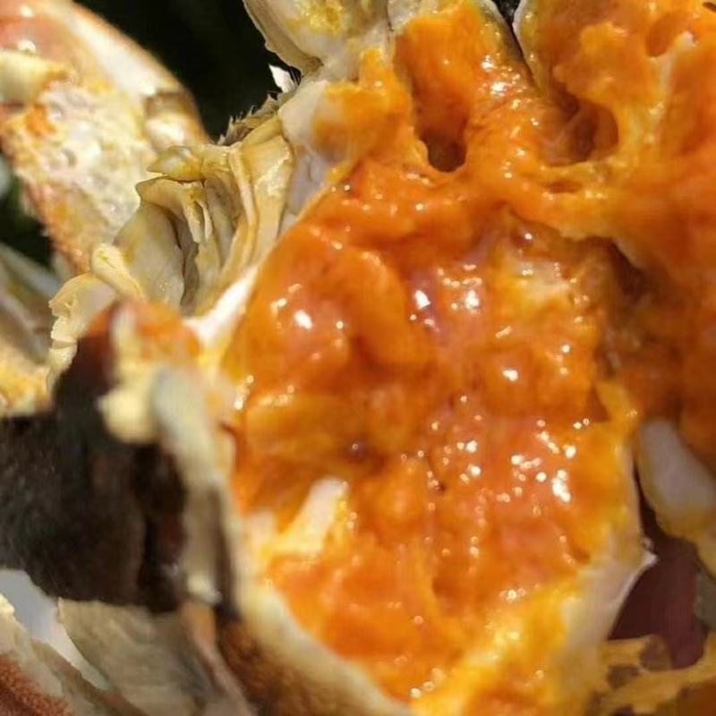 江苏固城湖大闸蟹母蟹每只带防伪码三码合一只只饱满