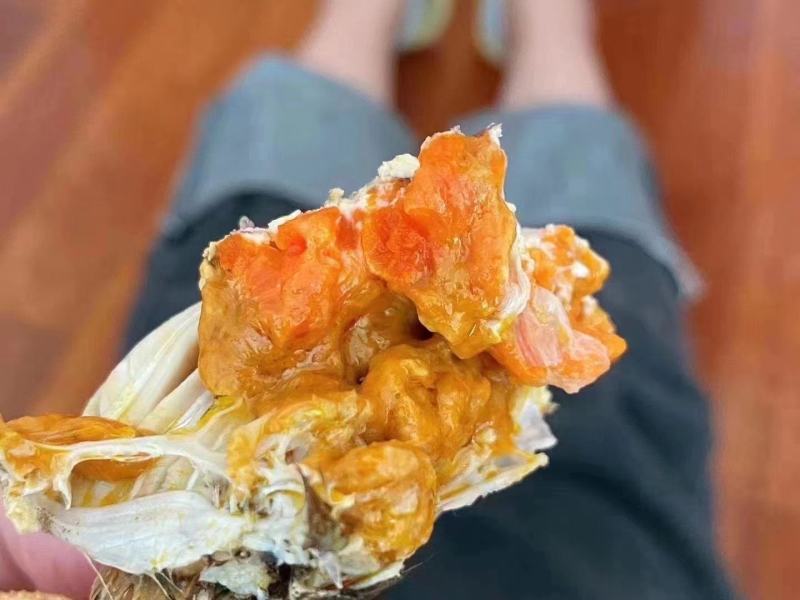 江苏固城湖大闸蟹母蟹每只带防伪码三码合一只只饱满
