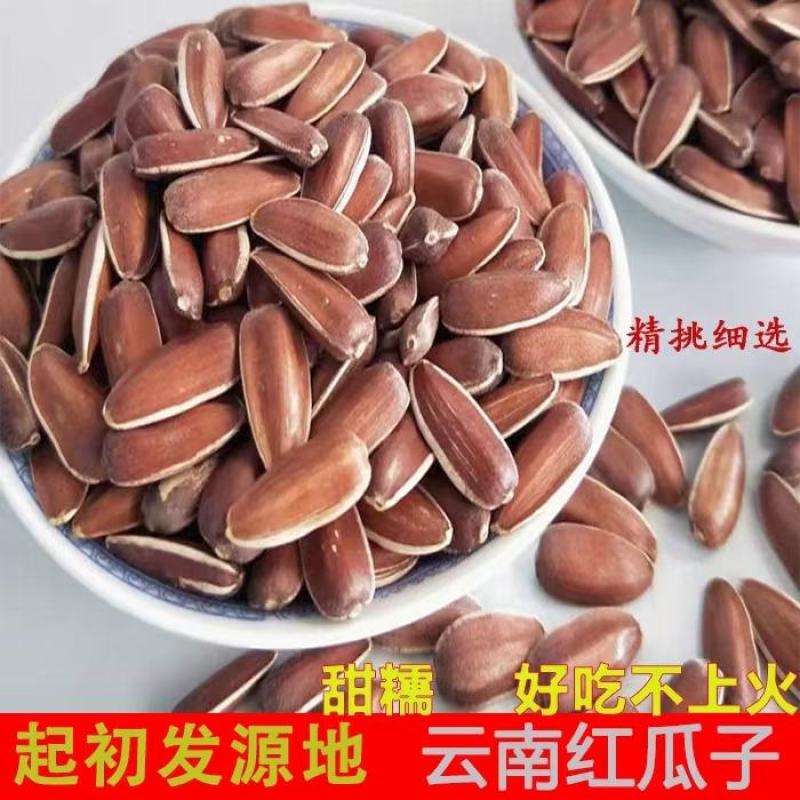 2025年新货云南红皮葵花籽（口感香甜）农户直发