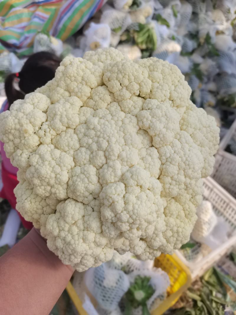 菜花花菜散花白面青梗市场货电商货多多买菜美团
