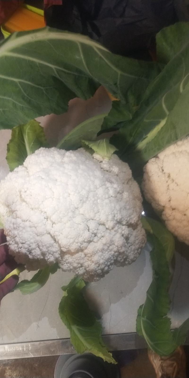 精品松花，需要联系