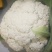 精品松花，需要联系
