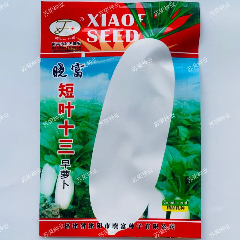 短叶十三早萝卜种子新育成大包萝卜水果萝卜种籽早熟耐抽苔