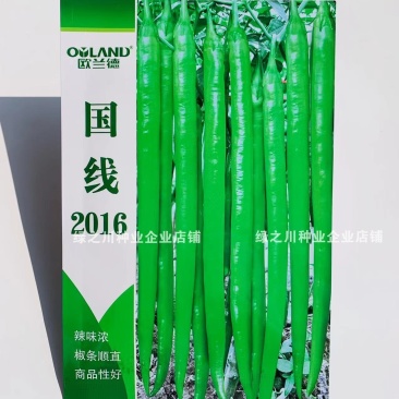 欧兰德国线2016线椒种子早熟辣味浓,椒型顺直条椒种子