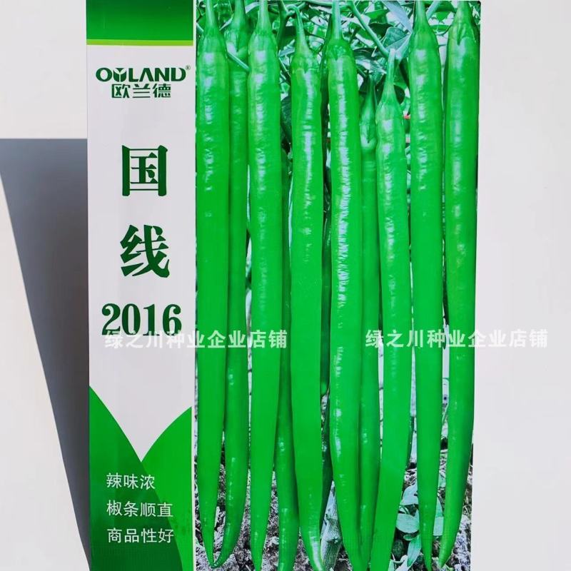 欧兰德国线2016线椒种子早熟辣味浓，椒型顺直条椒种子