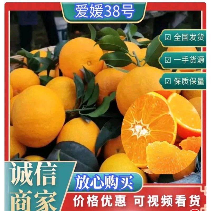 四川爱媛38号果冻橙甜蜜多汁原产地货源对接电商市场批发