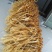 笋干竹笋花传统纯手工制作农家自产自销一手货源量大从优