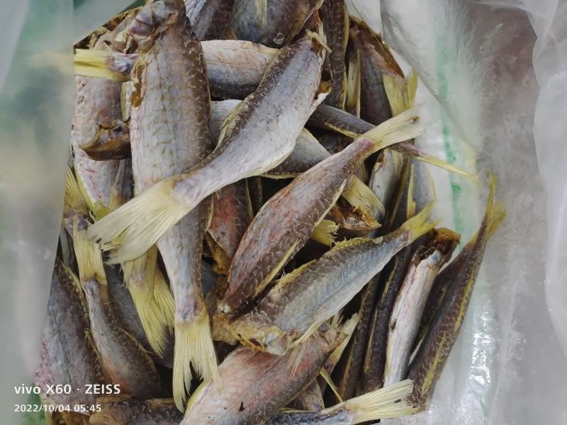 金线红娘鱼干