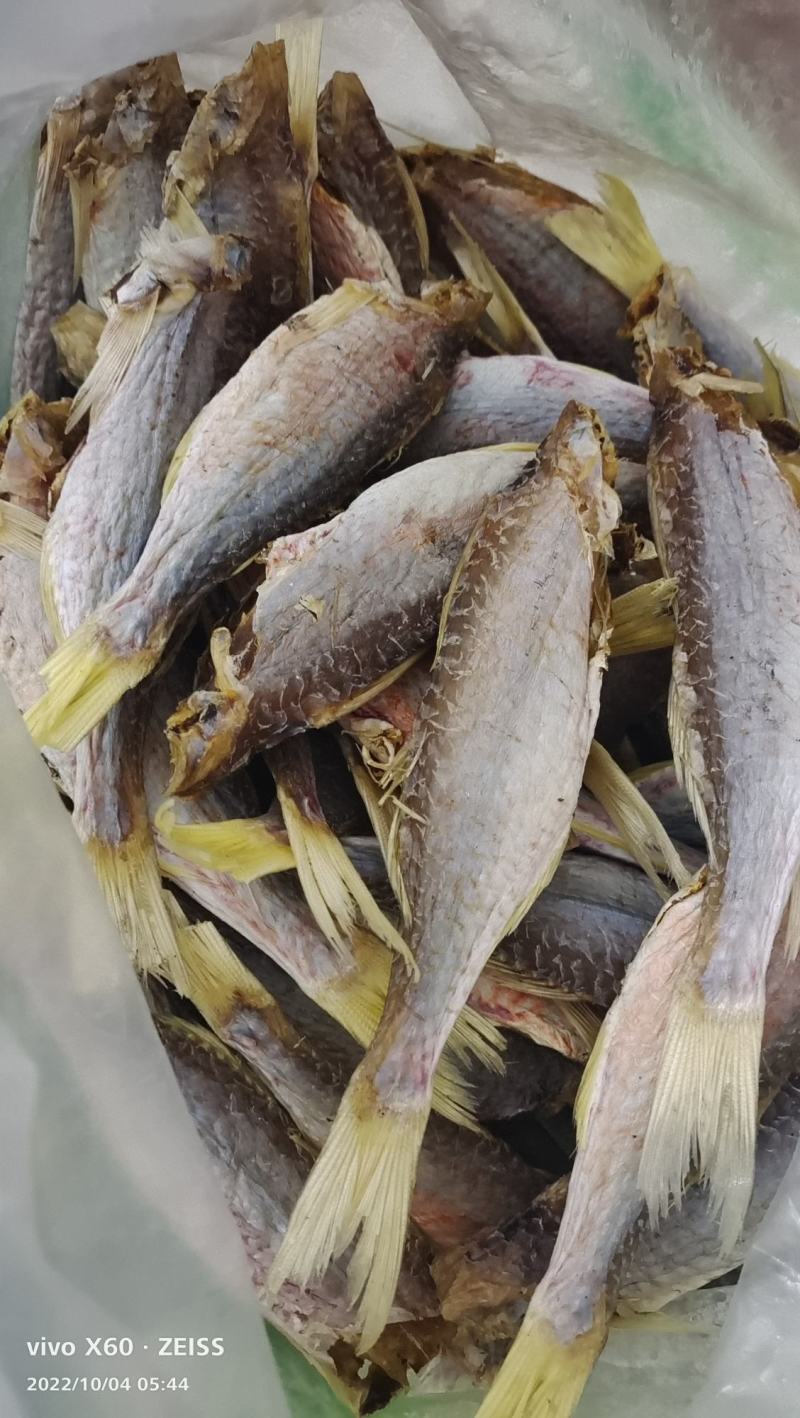 金线红娘鱼干