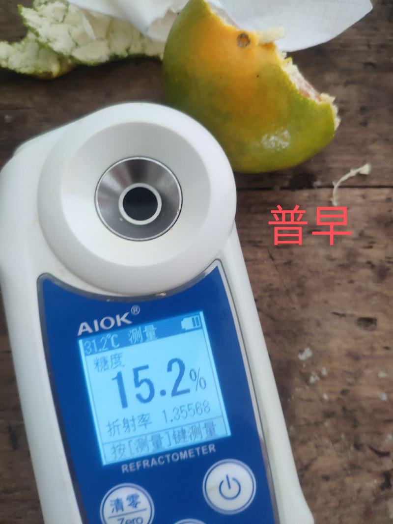 东江湖蜜桔大量上市皮薄多汁又化渣口感好糖度高