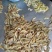 北海虾船捕捞天然南美白对虾虾仁很适合做馅料