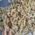 北海虾船捕捞天然南美白对虾虾仁很适合做馅料