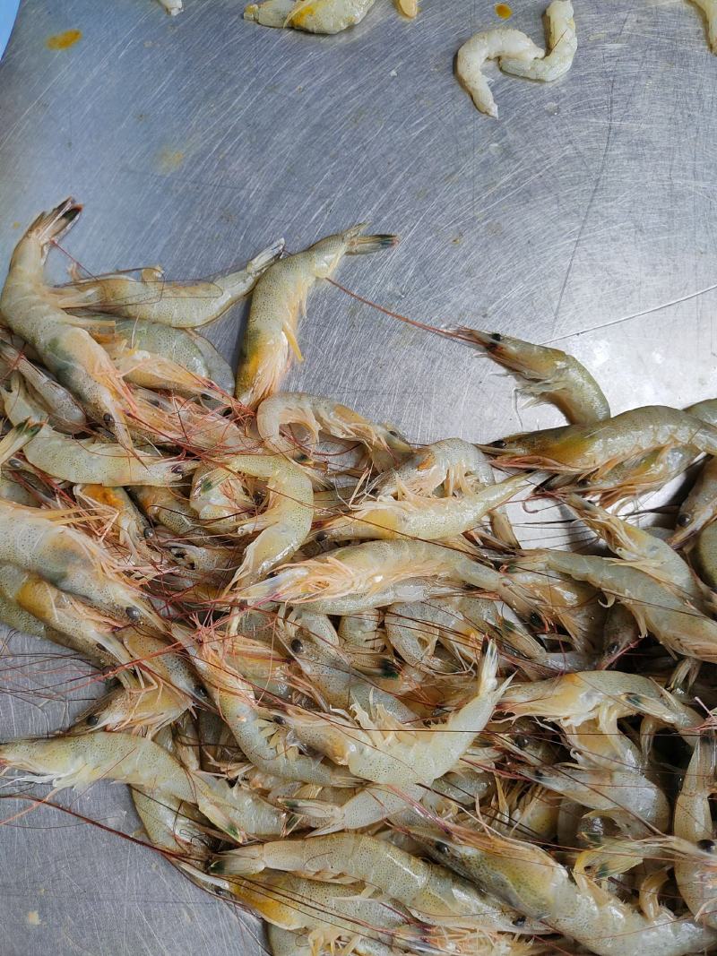 北海虾船捕捞天然南美白对虾虾仁很适合做馅料