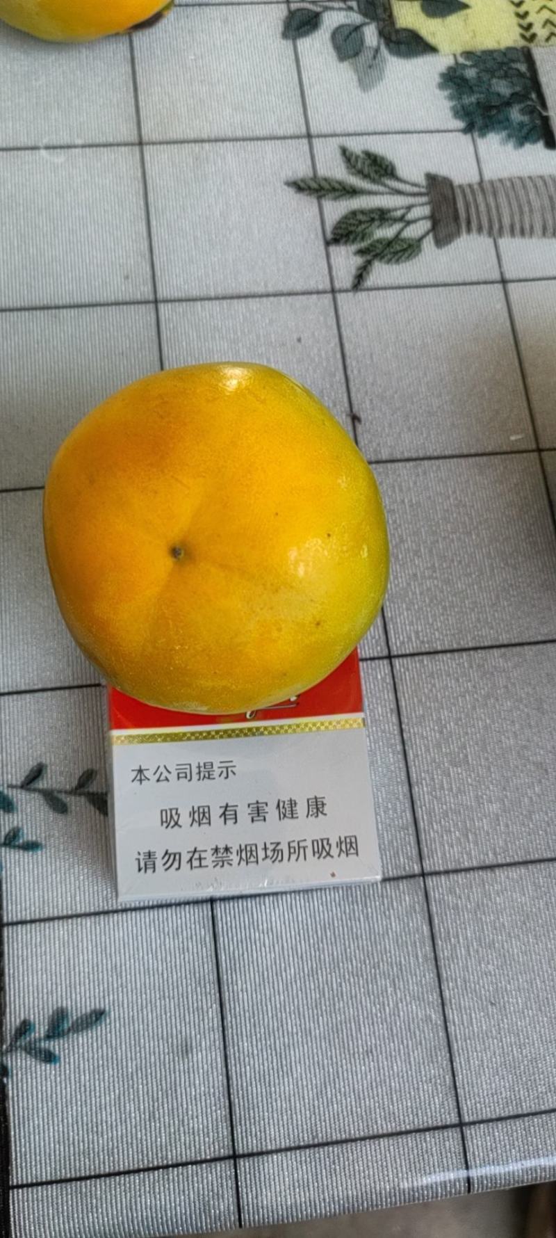 阳丰次郎脆甜柿子，从树上摘下来就可以吃的柿子，脆甜可口，