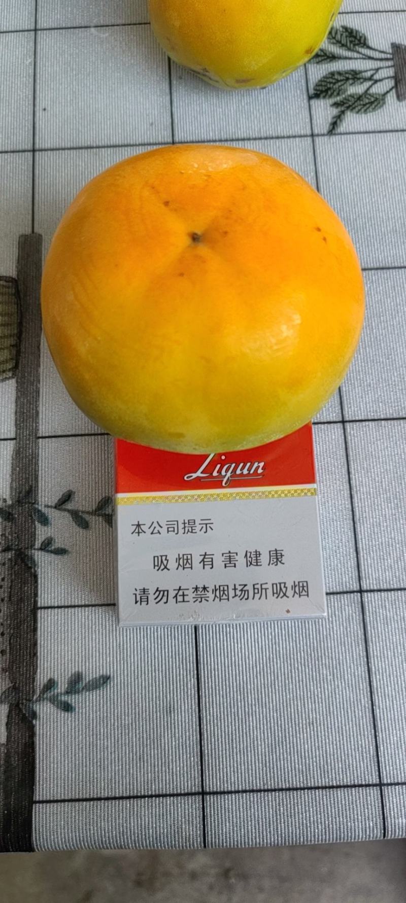 阳丰次郎脆甜柿子，从树上摘下来就可以吃的柿子，脆甜可口，