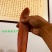 红刀鱼/红带鱼/赤刀鱼