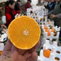 爱媛38号果冻橙新品上市一件代发整车发货实力产地源头直发
