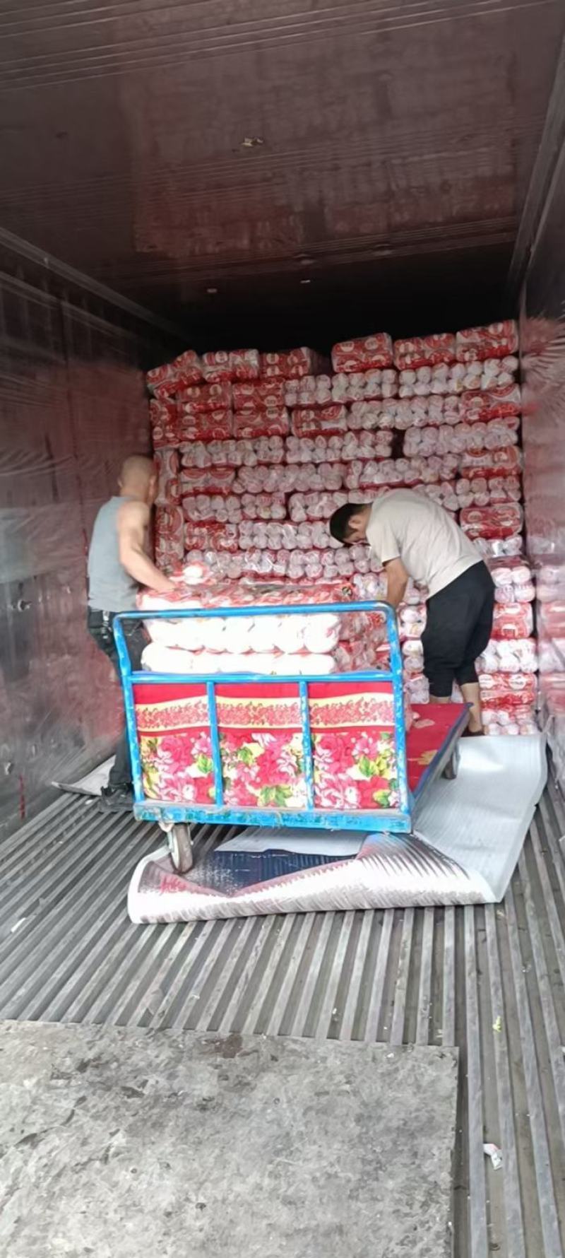 精品娃娃菜