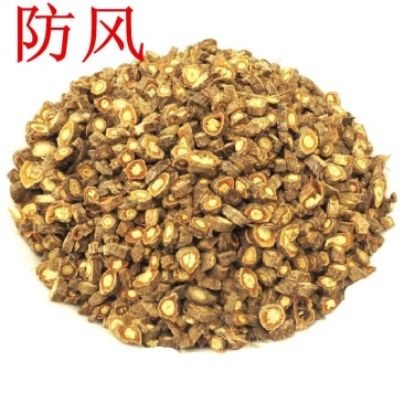 甘肃防风产新，大量上市，关防风片，关防风鲜条及干条
