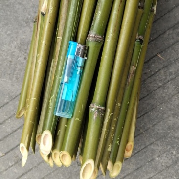 金秀靓货，只要你开口，没有做不到的，，，