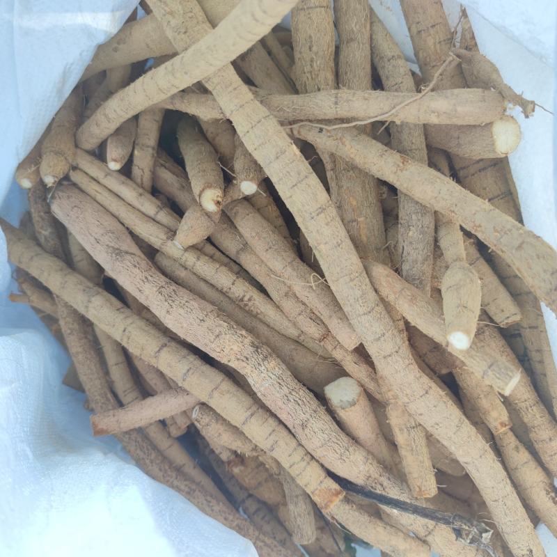 牛大力，老牛大力