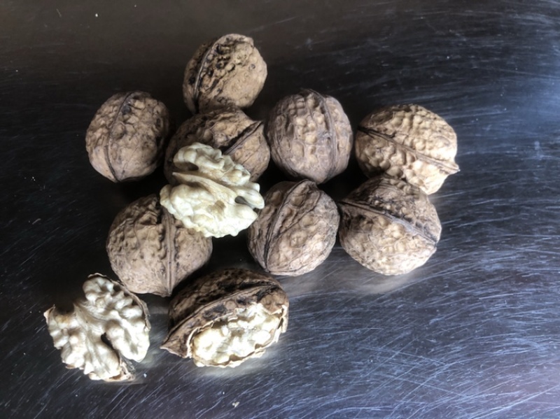 大姚县103大泡核桃，原生态高山自家种植