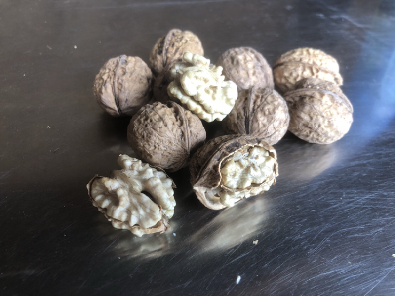 大姚县103大泡核桃，原生态高山自家种植