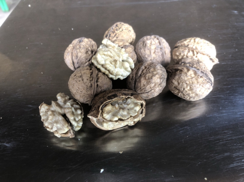大姚县103大泡核桃，原生态高山自家种植