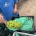 阳光玫瑰，颗粒饱满紧实。甜度高，