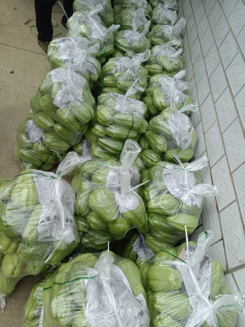 优质扶手瓜出售，产地直发，现摘现发！产品质量有保证。
