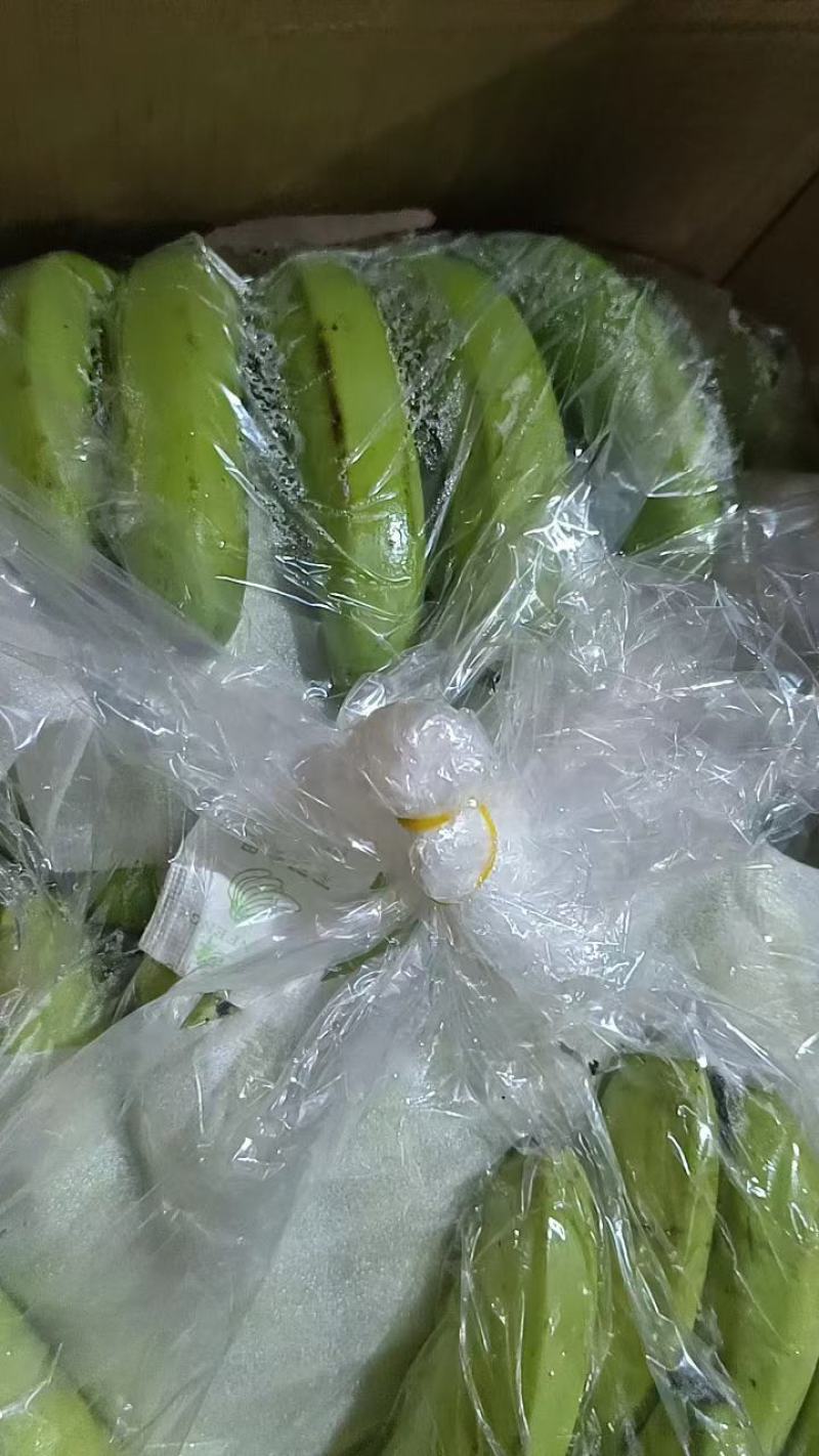 『精品』香蕉，大量现货供应，货源充足可以视频看货