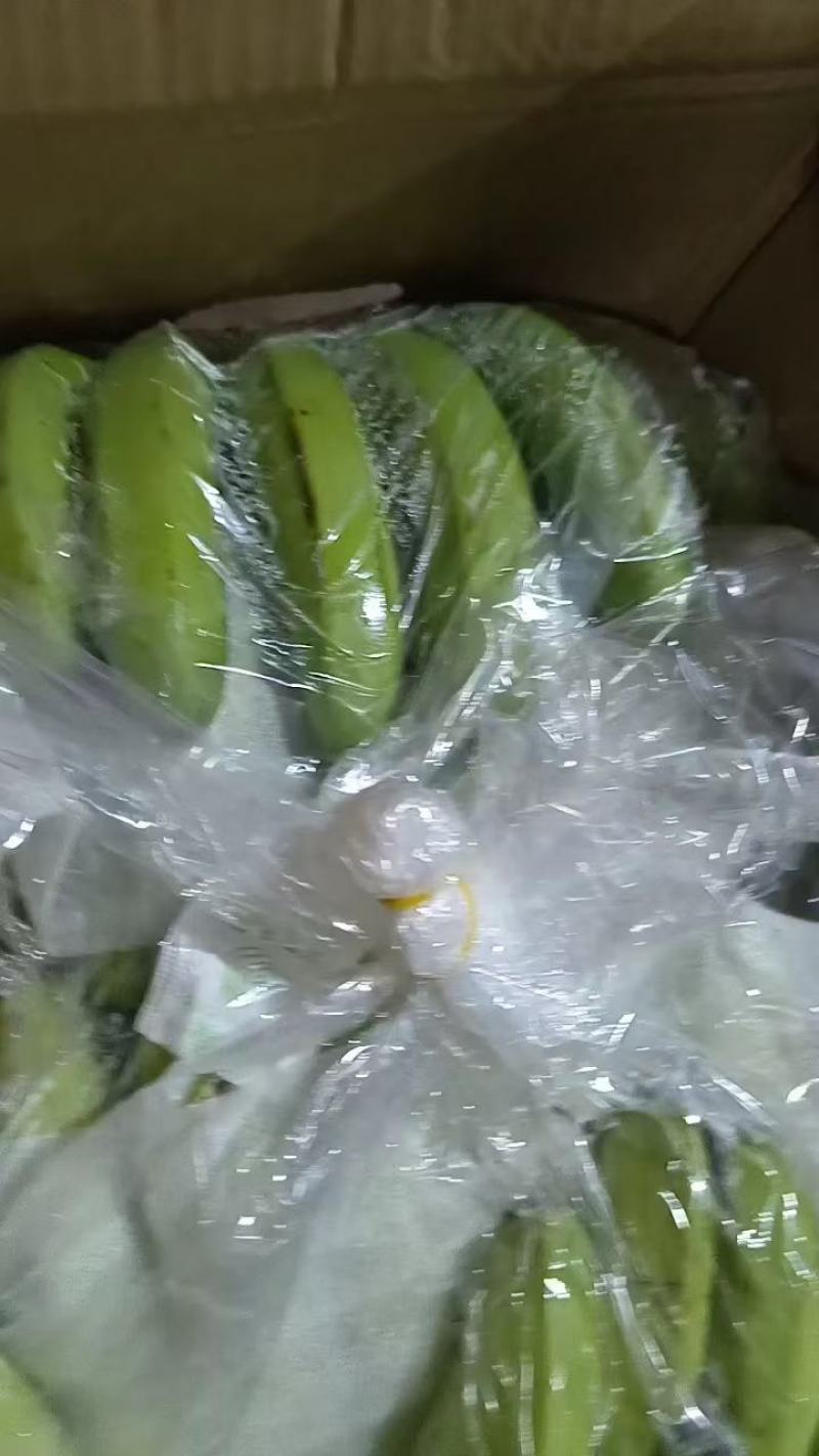 『精品』香蕉，大量现货供应，货源充足可以视频看货
