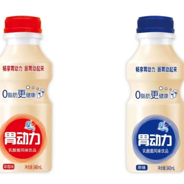 乳酸菌风味饮品