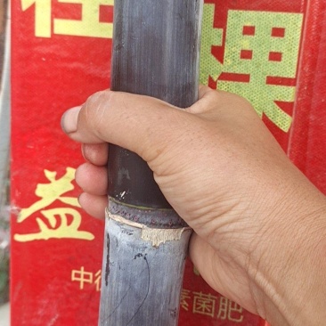 自家种植，自产自销，价格美丽