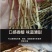 野生茅草种子白茅根草种子白茅草种子白茅花丝茅花白茅