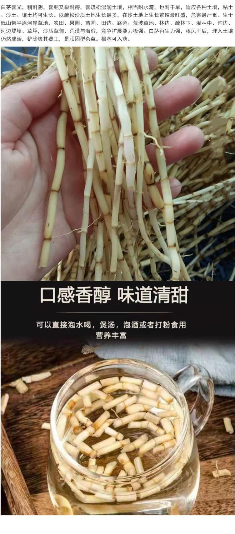 野生茅草种子白茅根草种子白茅草种子白茅花丝茅花白茅
