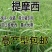 猫尾草种子，提摩西种子，龙猫兔子爱吃的草籽，多少生牧草