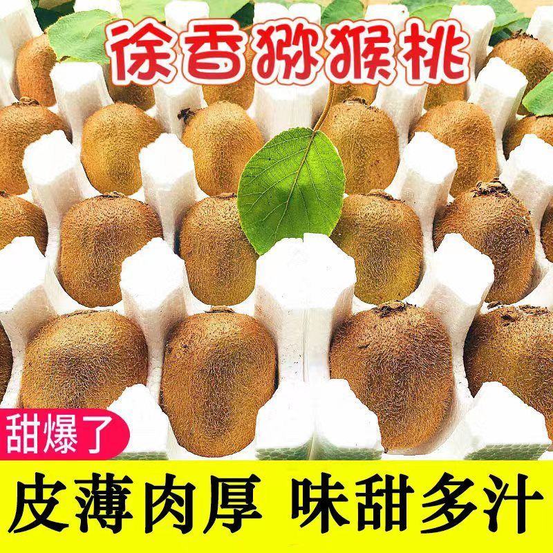 猕猴桃种子猕猴桃树籽嫁接红心猕猴桃徐香楚红猕猴桃奇异果钻