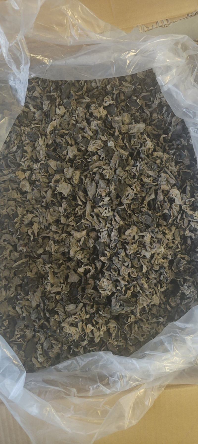 秋木耳，黑木耳东北黑木耳产地一手货源量大从优欢迎来电洽谈