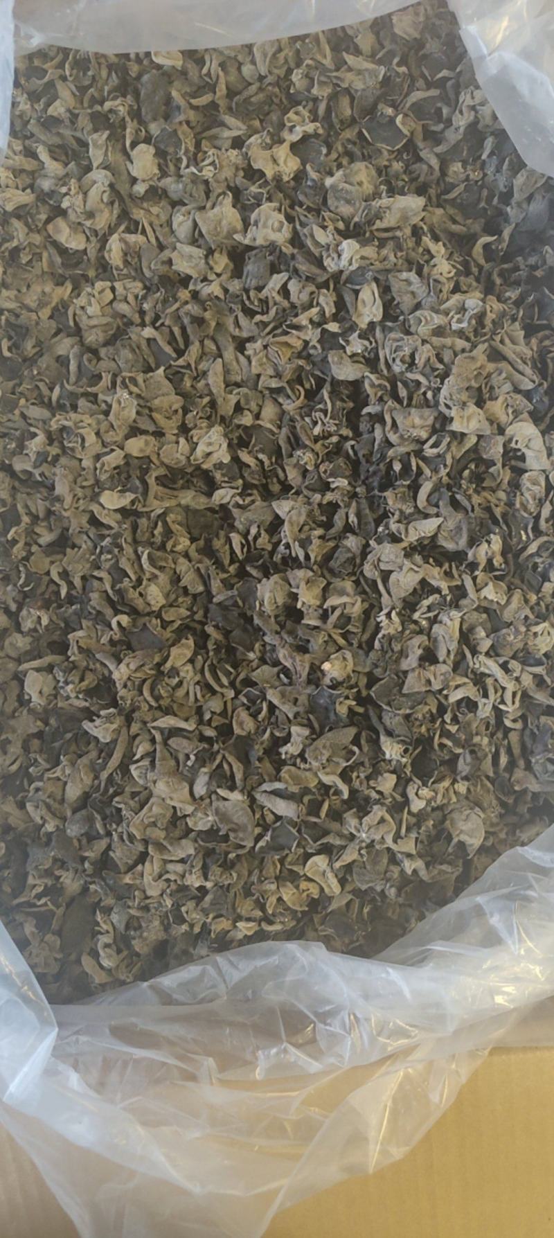 秋木耳，黑木耳东北黑木耳产地一手货源量大从优欢迎来电洽谈