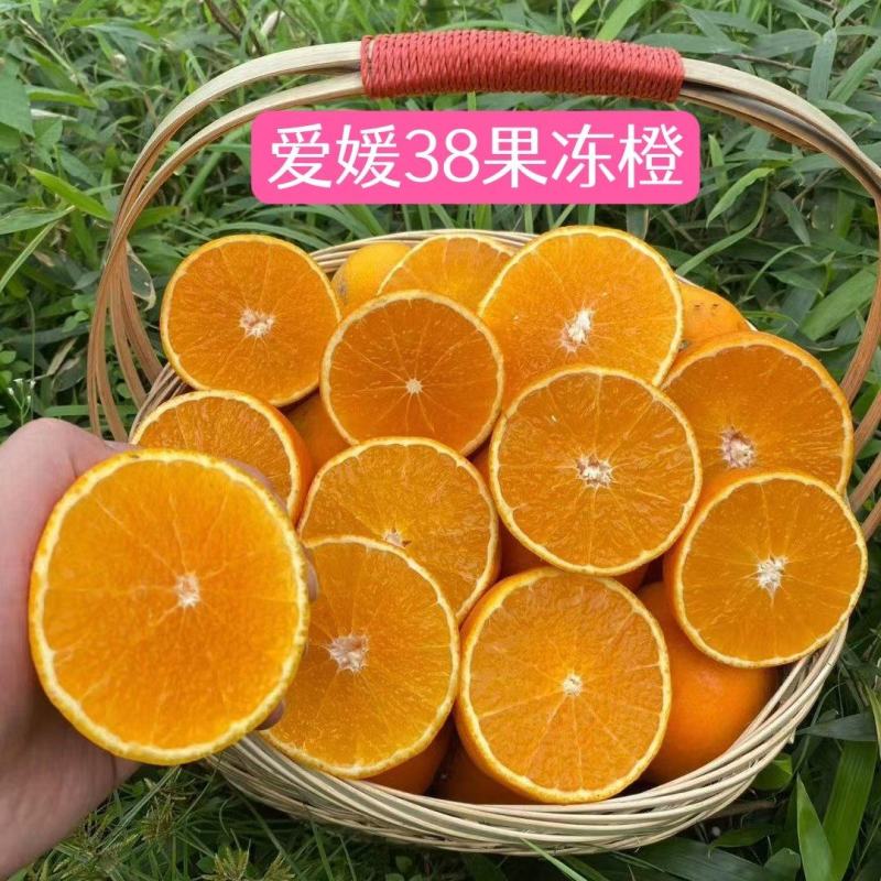 爱媛果冻橙海拔低.口感甜现採现发.支持视频看货代发全国
