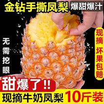 【爆甜】云南金钻凤梨菠萝手撕无眼现摘10斤新鲜菠萝包邮