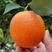 纽荷尔脐橙大量上市一手货源品质保证电商市场社区团购